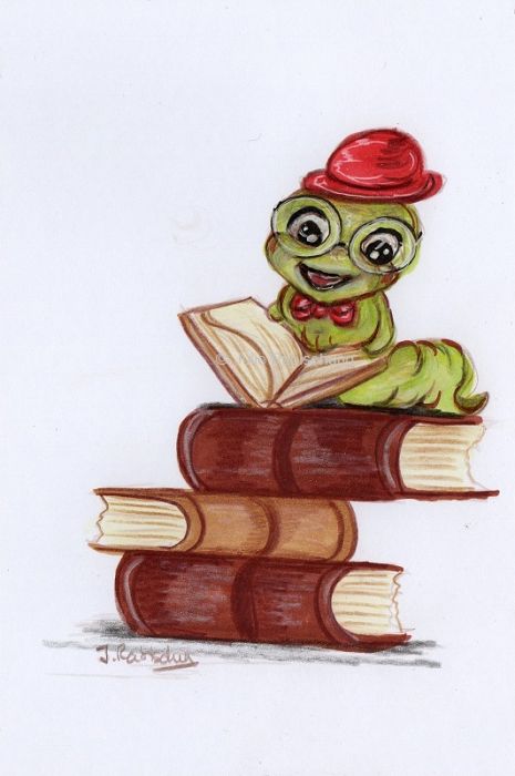 Mr Bookworm by Julie Rabischung